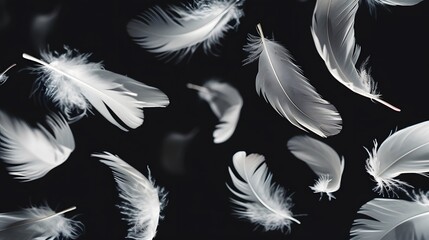 Group of light soft fluffy a white feathers flolating in the dark. black ground. abstract, feather freedom floating.