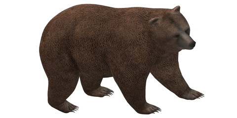 Fototapeta premium brown bear isolated on a Transparent Background