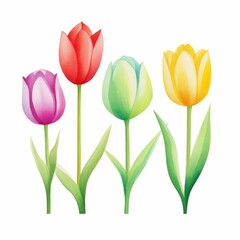 watercolor tulips, colorful watercolor tulips