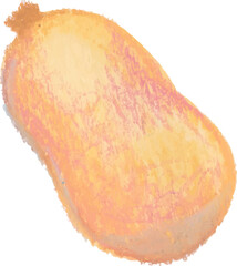 pumpkin butter squash watercolor png