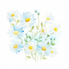 watercolor daisies, bright watercolor daisies