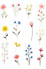 floral stationery watercolor, charming floral stationery watercolor