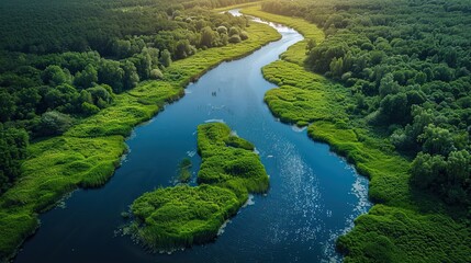 Lake in a forest