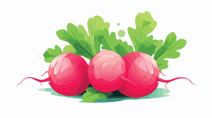 Pink radish tuber with tops. Fresh raw vegetable wi - obrazy, fototapety, plakaty