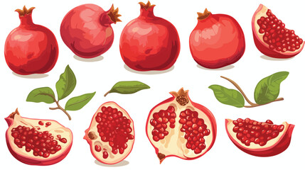 Pomegranate hand drawn setCollection on white backg