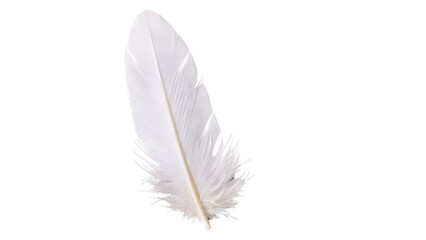 White Bird Feather isolated on white background