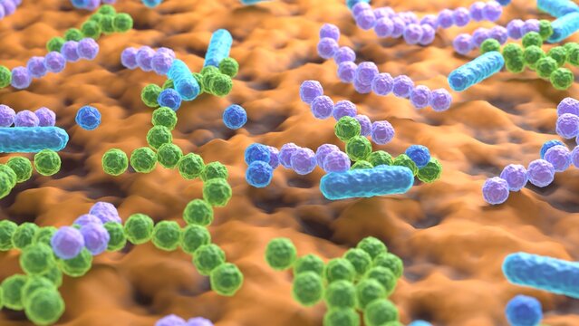 microbiota bacteria cells 3d representation. Can be used to represent the immunity system, probiotic  bacillus cells, epidemiology enterobacteria