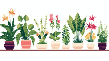 Potted houseplants flat vector illustration. Succul