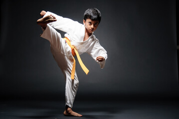 Chico demonstrates his martial skills, doing a sequence of katas on a photography set.