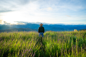 Scenic of flower farm at Atok, Benguet in the mountain province of the Philippines