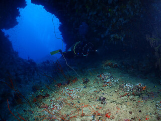 scuba diver and coral reef and cave underwater