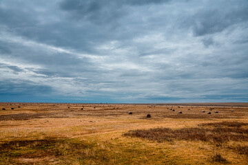 Fototapeta premium Autumn colors of Hulunbuir prairie in Inner Mongolia, China