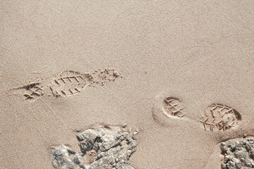 Beautiful footprints in the sand sea nature background