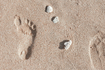 Beautiful footprints in the sand sea nature background