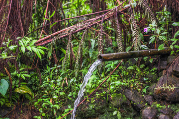This ancient bamboo fountain is known as the Mata Air Simbok Resmi, located around the Curug Madu...