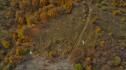 An old asphalt road winds through the forest in the mountains, surrounded by the golden canopies of autumn trees. This aerial photograph was captured by a drone.