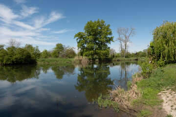 Saale bei Bad Dürrenberg