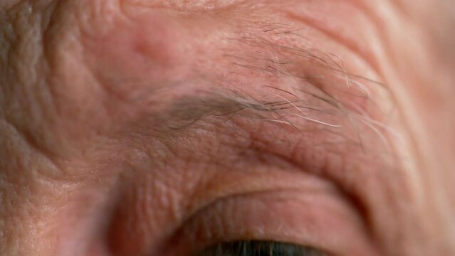 Close-up of a man raising a gray eyebrow. Old man wrinkled face