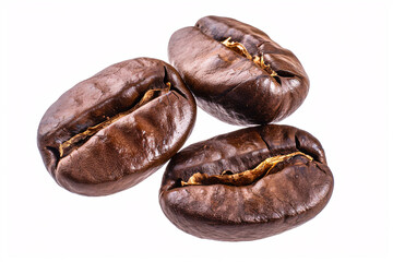 Close up shot of coffee bean on an isolated background