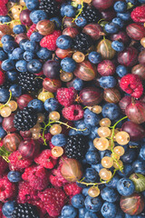 Gooseberries, blueberries, mulberry, raspberries, white and red currants.