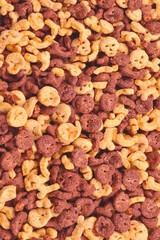  Chocolate flakes in the form of skulls and bones background. Top view.