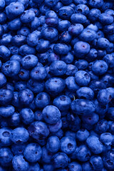 Fresh blueberry background. Texture blueberry berries close up.