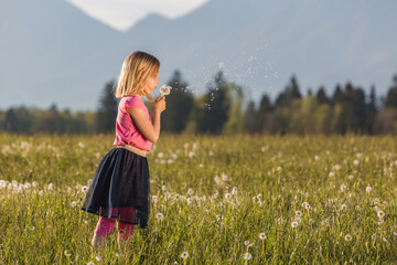 Blond little girl blowing dandelion in a green meadow on a sunny day. Summer fun concept.