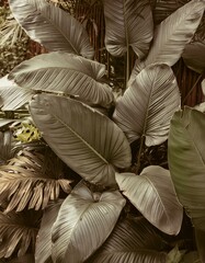 feuilles de plantes tropicales en ia vert