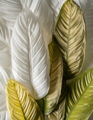 feuilles de plantes tropicales de 3 couleurs en papier peint en ia