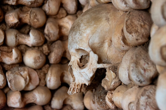 Calavera humana del osario de la catedral de Faro, en el Algarve de Portugal