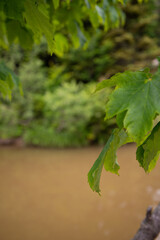 Beautiful mountain landscape in early spring. Small river with a waterfall.