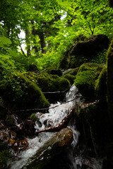 Fototapeta premium Beautiful mountain landscape in early spring. Small river with a waterfall.