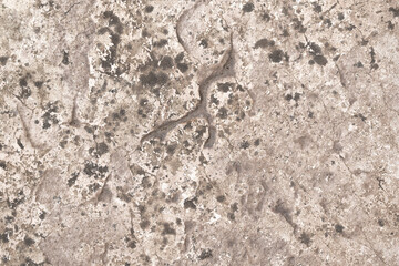 Dirty old unclean stamped concrete floor with black mould texture background. Grunge and rough...