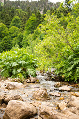 Beautiful mountain landscape in early spring. Small river with a waterfall.
