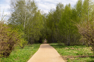 walk in the park