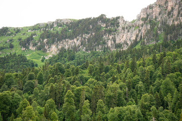 Fototapeta premium Beautiful mountain landscape in early spring.