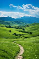 Rolling green hills dotted with wildflowers under a clear blue sky, ideal for a peaceful countryside hike