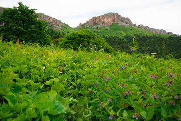 Beautiful mountain landscape in early spring.