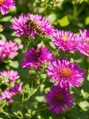 Fototapeta premium Vibrant pollinator garden bustling with various bees and butterflies on a sunny day. AI generated.