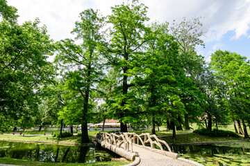 Vivid landscape in Nicolae Romaescu park from Craiova in Dolj county, Romania, with lake, waterlillies and large green tres in a beautiful sunny spring day with blue sky and white clouds