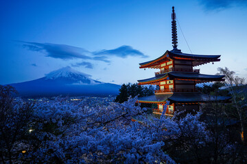 Beautiful Chureito Pagoda with cherry blossom and Mt. Fuji in the background during sunset (Image slightly contain noise)