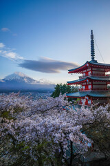 Beautiful Chureito Pagoda with cherry blossom and Mt. Fuji in the background during sunset (Image...