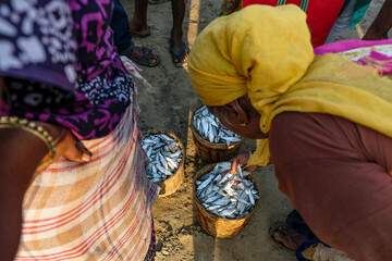 Malvan, India - February 7, 2024: People selling fish at the Malvan fish market in Maharashtra,...