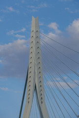 Obraz premium Rotterdam in den Niederlanden