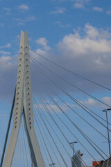 Rotterdam in den Niederlanden
