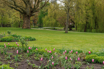 Die Stadt Rotterdam in Holland