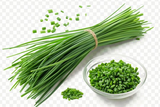 fresh chives cutout isolated on transparent (PNG) Background