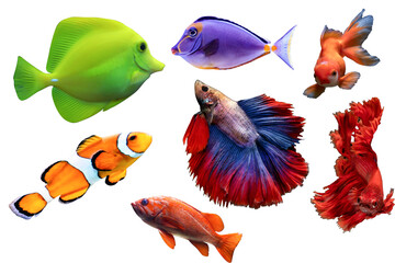 Shool of blue tropical striped fish in the ocean isolated on transparent background.png Caesio...