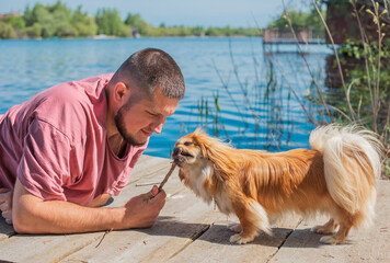 Young man with a little golden Asian dog, pet behavior concept. Human best friend
