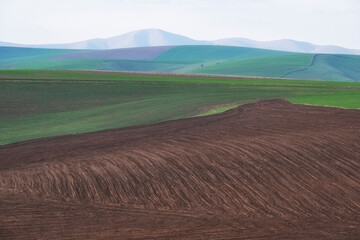 Beautiful spring abstract agricultural fields with geometric lines and shapes in the foothills